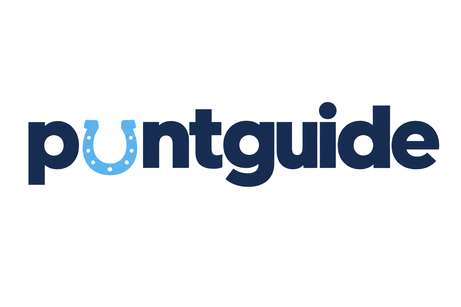 PuntGuide
